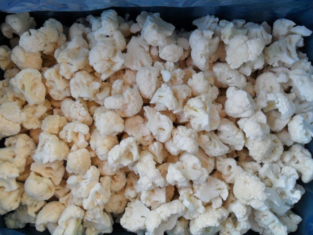 IQF White Caulflower