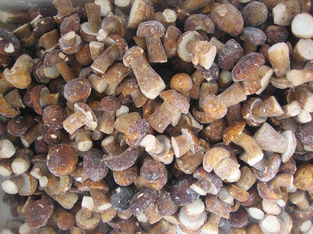 IQF Boletus Crumble